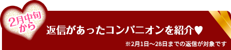 返信があったコンパニオンを紹介♥