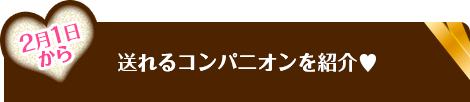 送れるコンパニオンを紹介♥