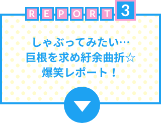 しゃぶってみたい…巨根を求め紆余曲折☆爆笑レポート！