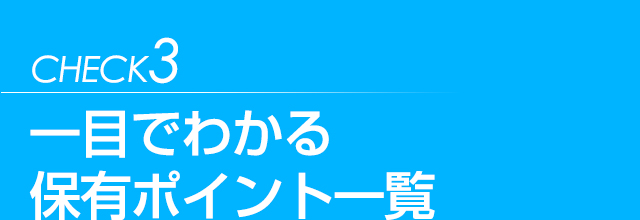 一目でわかる保有ポイント一覧