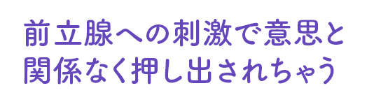 前立腺への刺激で意思と関係なく押し出されちゃう